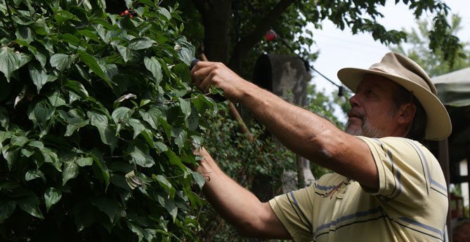 A.B.-Dienste aktuelle Neuigkeiten